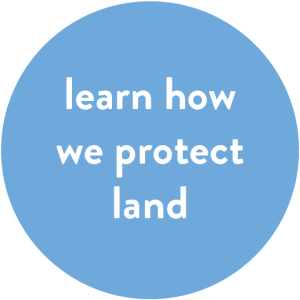 SALTS | Protect the Environment