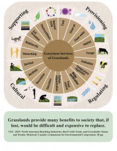 SALTS | Grasslands EGS Infographic