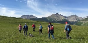 SALTS | Maps of Alberta land conservation