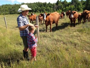 SALTS | Protect your land for future generations