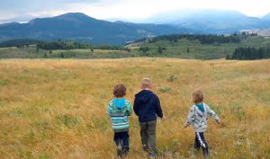 SALTS | Donate today to protect your land for future generations