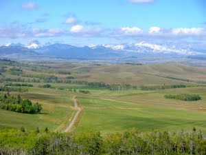 SALTS | Conservation Easements