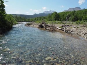 SALTS | Watershed Resiliency and Restoration Program